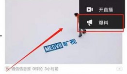 视频爆料在哪里看得到,视频爆料内容，带你一探究竟