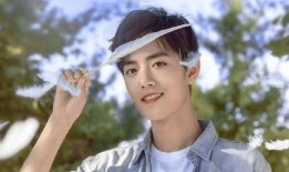 关于杨紫肖战的爆料视频,甜蜜互动引网友热议